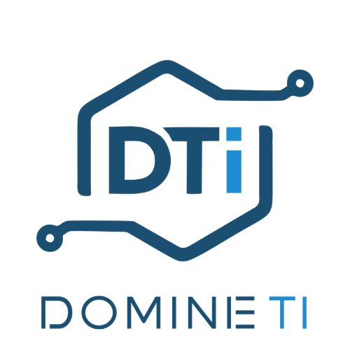 Logo Domine TI